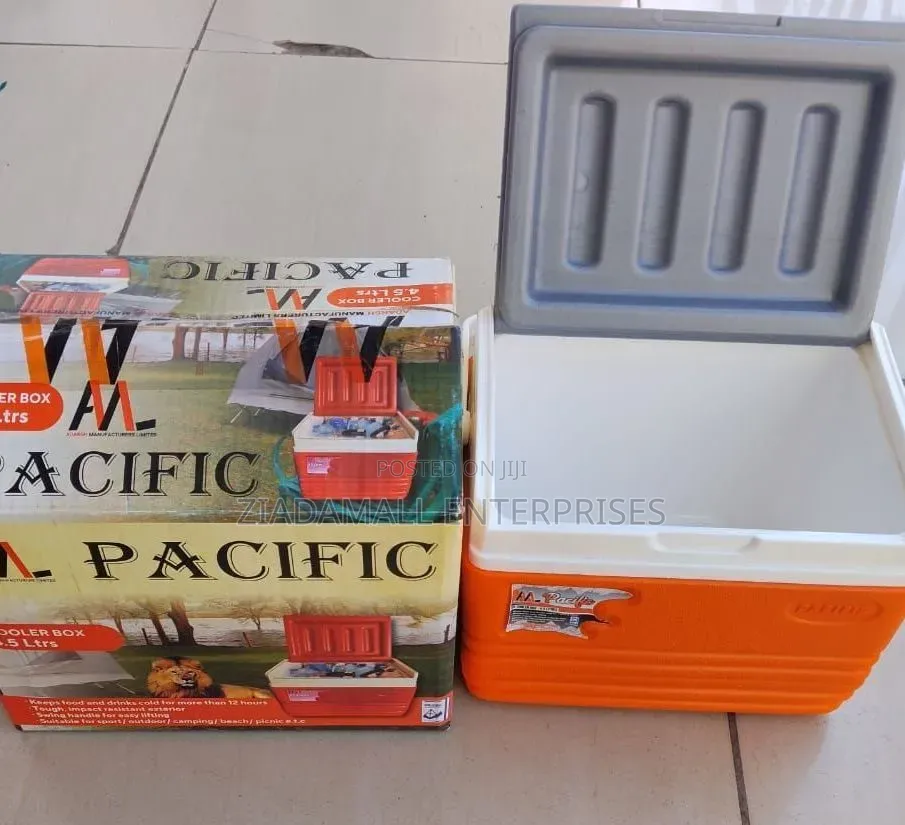 4.5 Litres Cooler Box Small Size, Big Chill