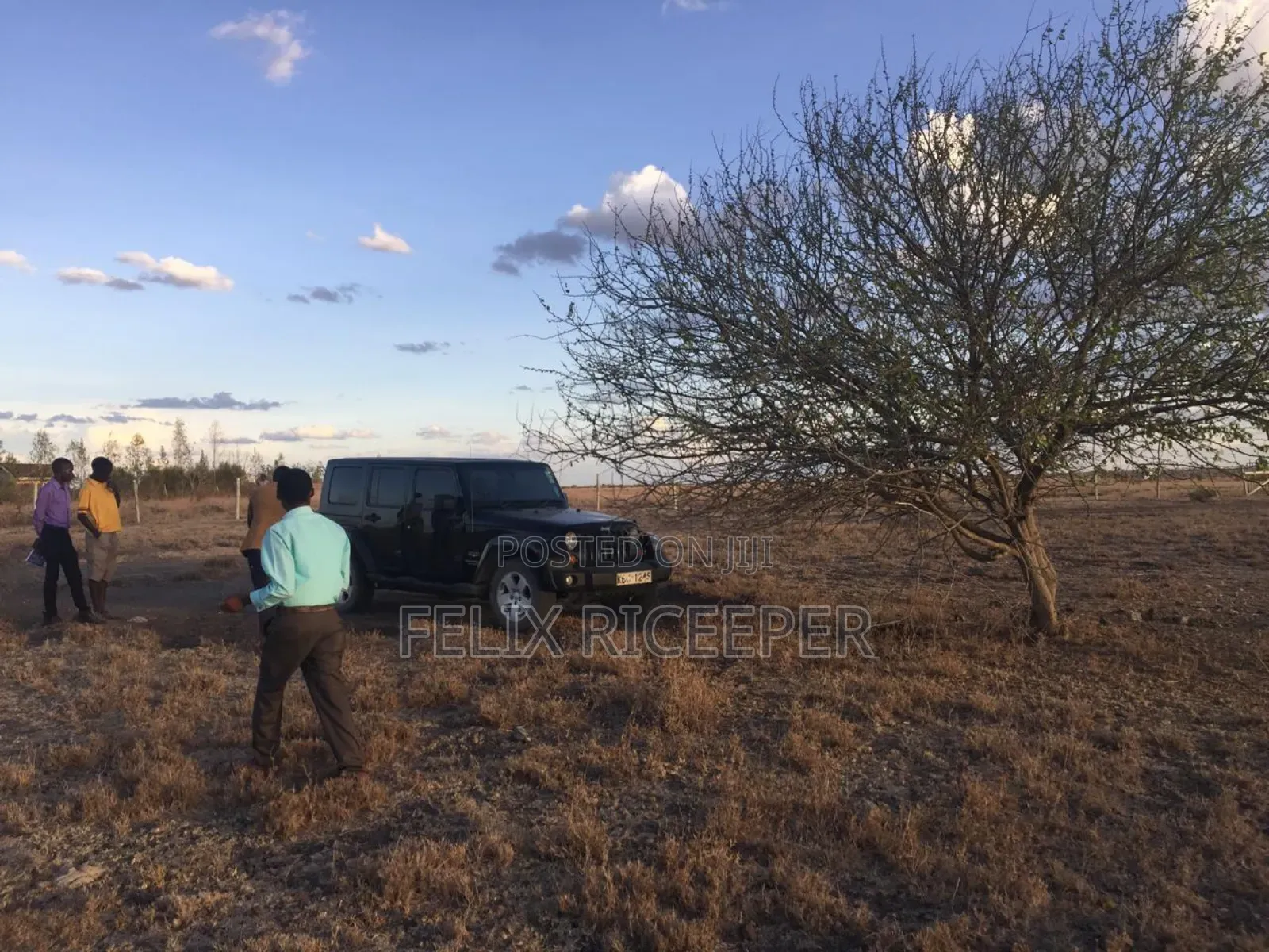 Land for Sell