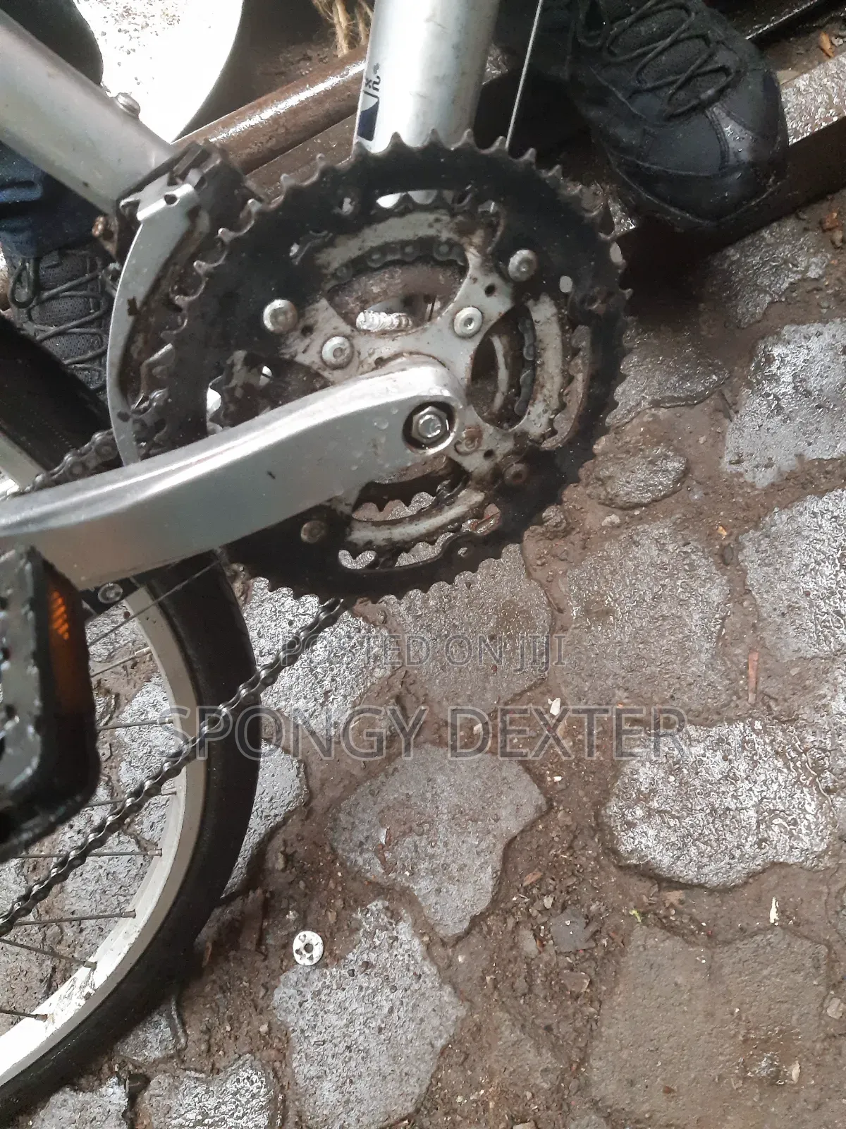 Hybrid Bicycle
