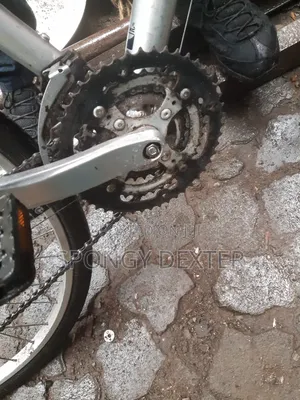 Hybrid Bicycle
