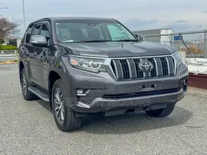 Toyota Land Cruiser Prado 2020 Gray