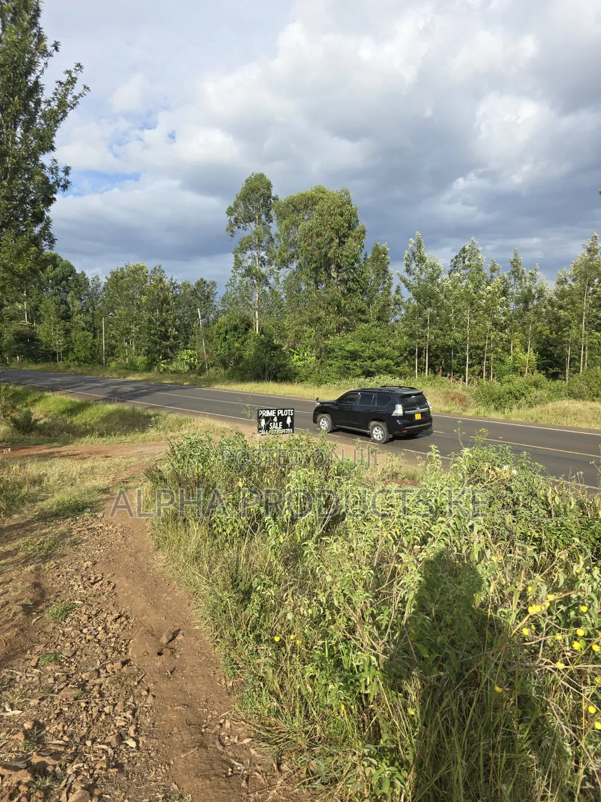 50×100 Prime Plots Touching Kenol-Murang'a Highway