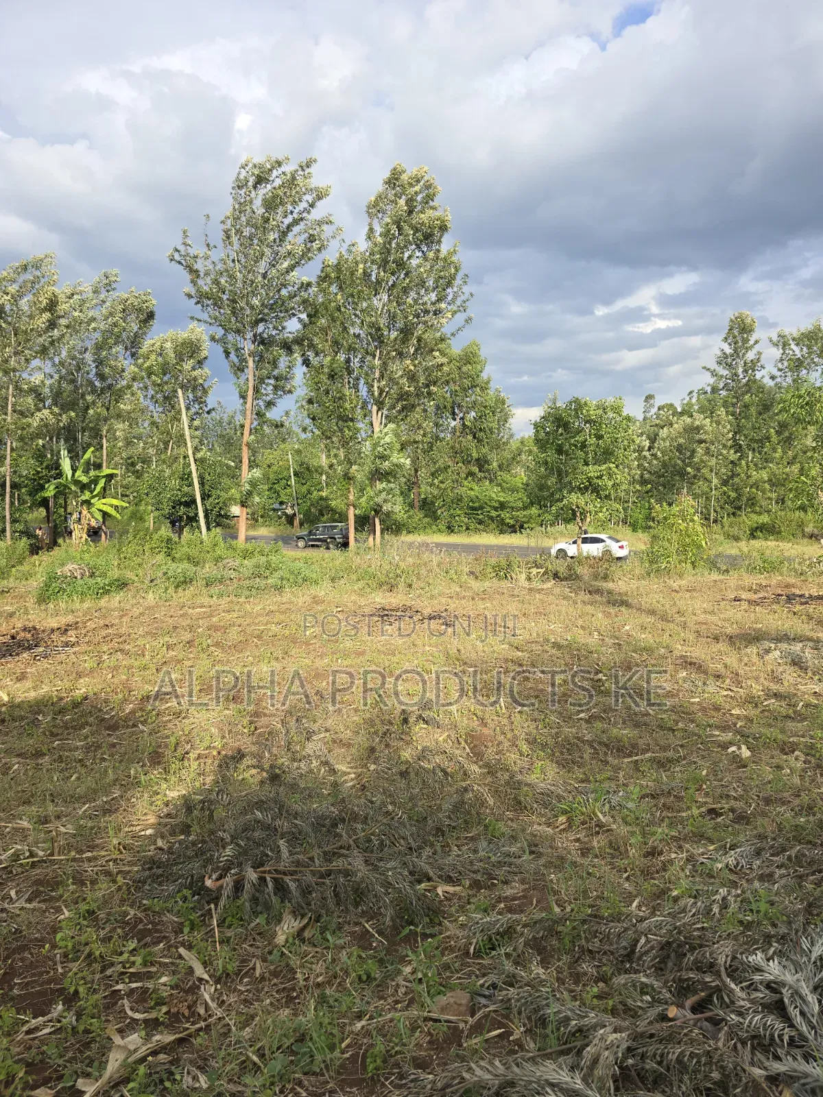 50×100 Prime Plots Touching Kenol-Murang'a Highway