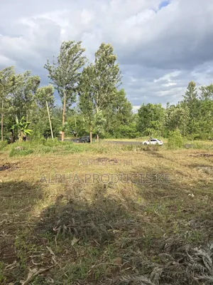 50×100 Prime Plots Touching Kenol-Murang'a Highway