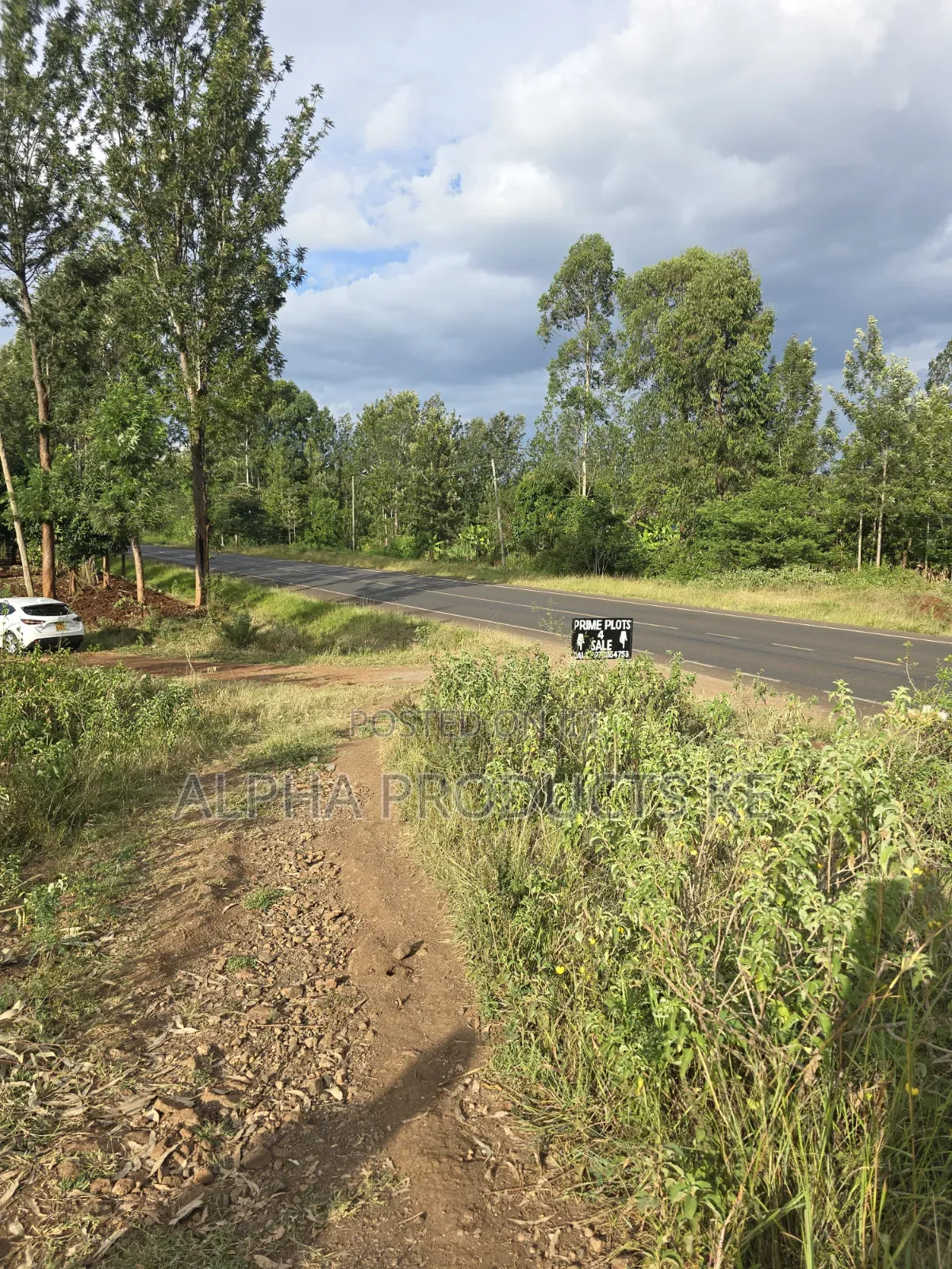 50×100 Prime Plots Touching Kenol-Murang'a Highway