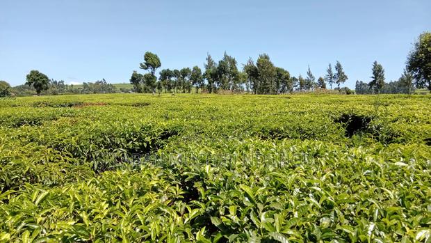 30 Acres for Sale,Riara Ridge