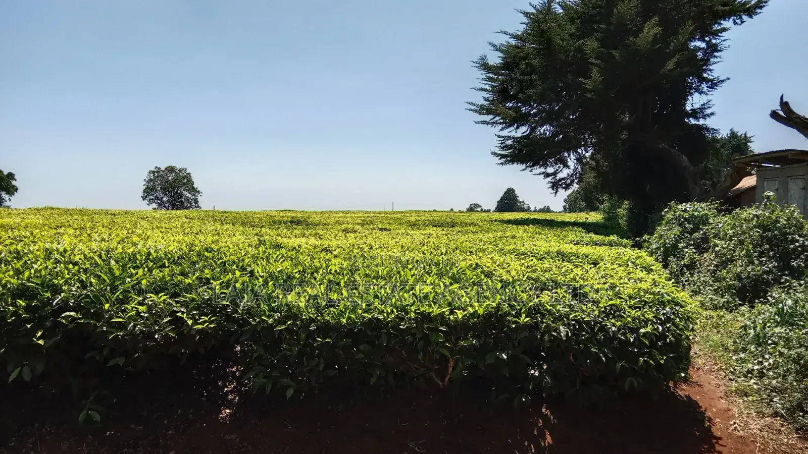 30 Acres for Sale Riara Ridge