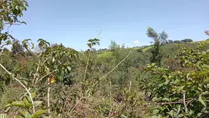 30 Acres for Sale Riara Ridge