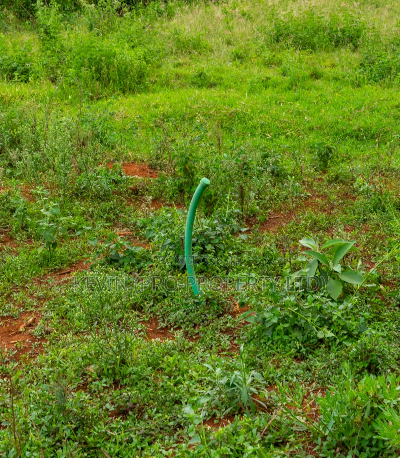 Residential Serviced Plots for Sale in Kikuyu, Gikambura.
