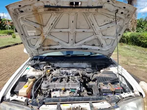 Nissan Sunny 2004 Off white