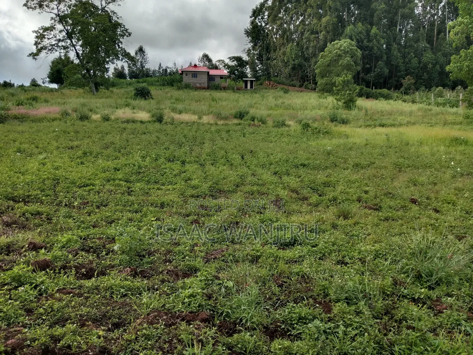 Plots for Sale