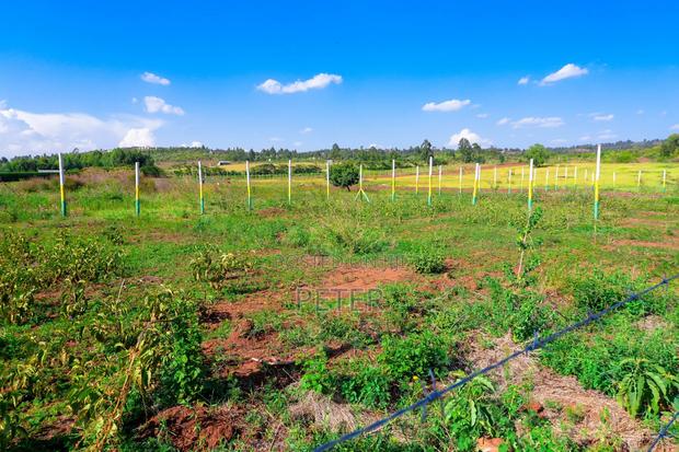 Ndiguini Phase 3 A 50 By100 Plots - thumbnail 2