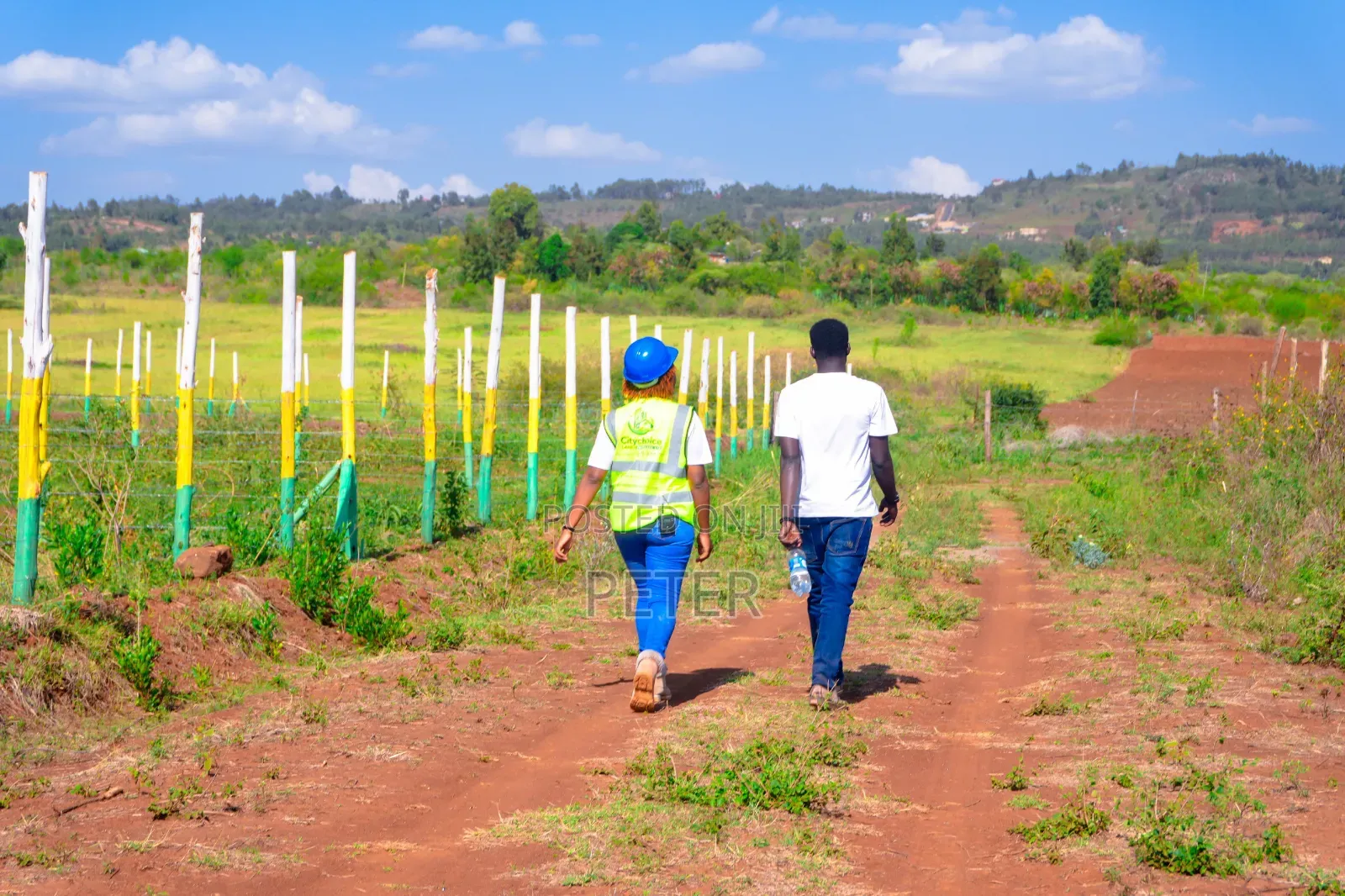 Ndiguini Phase 3 A 50 By100 Plots