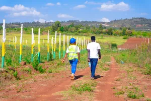 Ndiguini Phase 3 A 50 By100 Plots