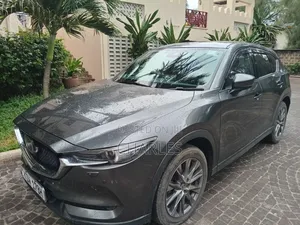 Car Rental and Tours Services