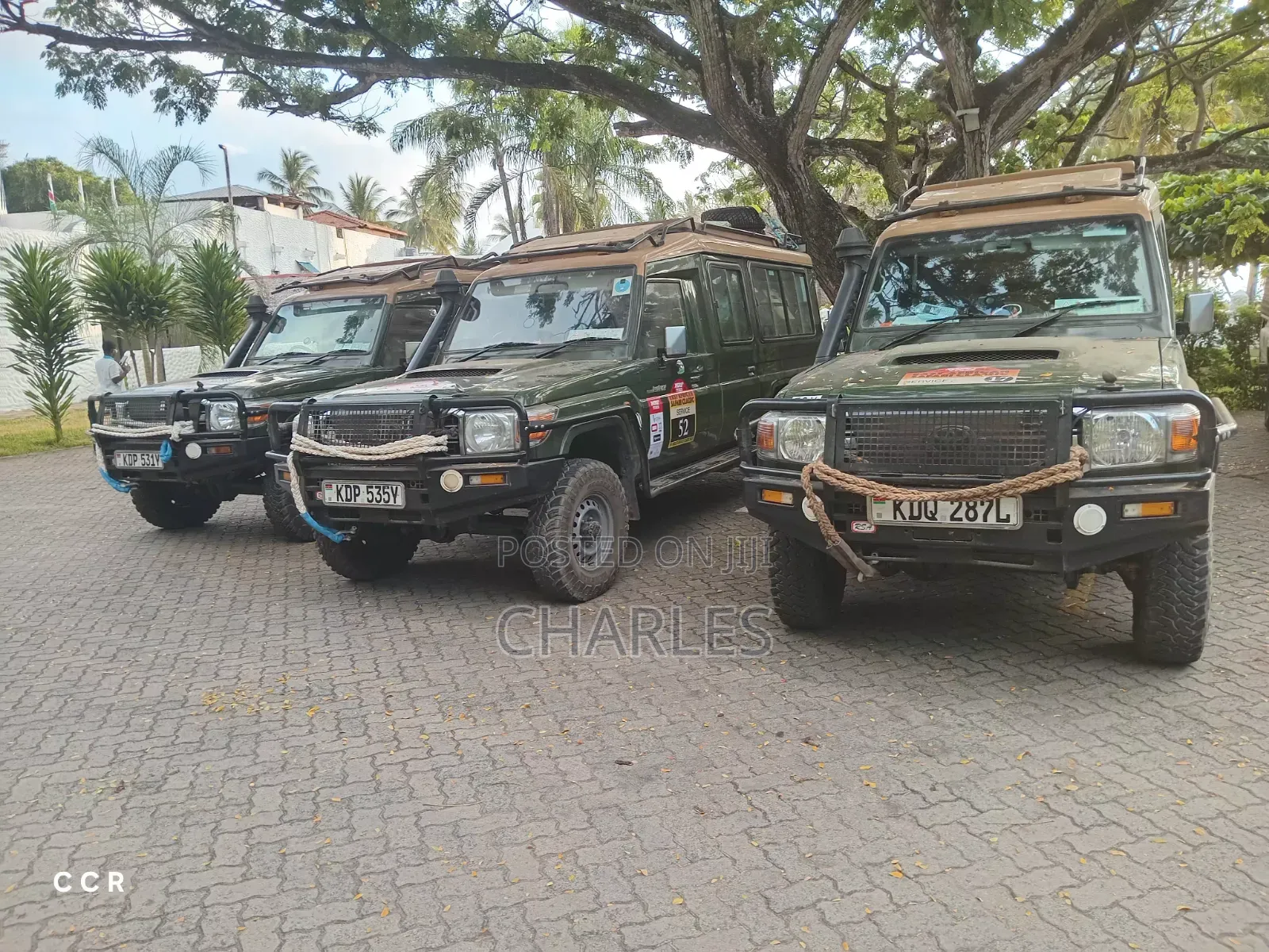 Car Rental and Tours Services