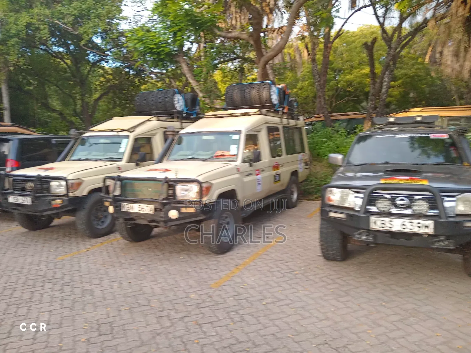 Car Rental and Tours Services