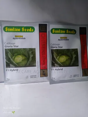 Cabbage Gloria Star F1 Hybrid 10g, 25g