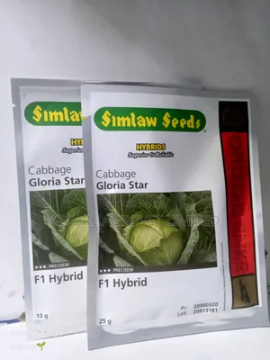 Cabbage Gloria Star F1 Hybrid 10g, 25g