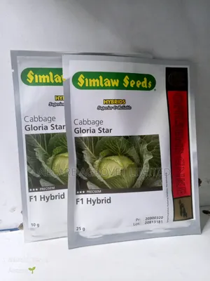 Cabbage Gloria Star F1 Hybrid 10g, 25g