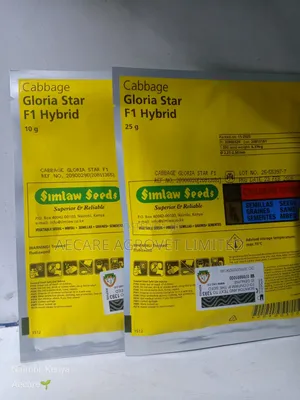 Cabbage Gloria Star F1 Hybrid 10g, 25g