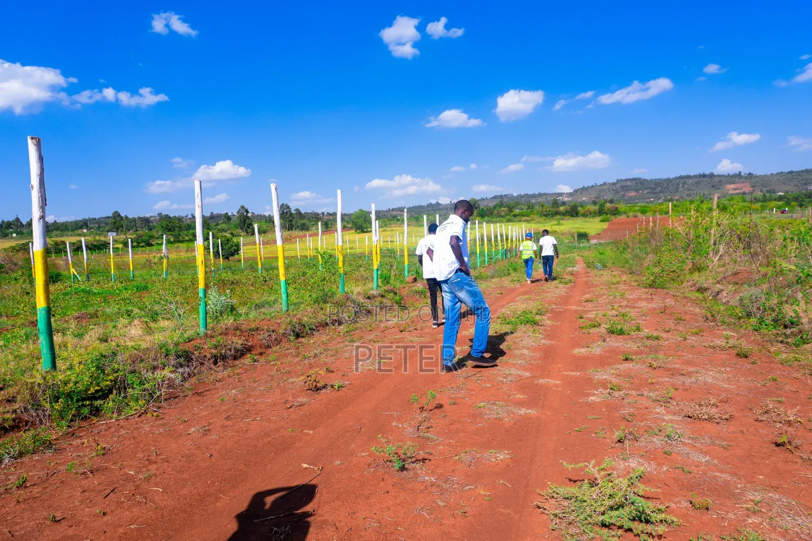 Ndiguini Phase 3 A 50 By100 Plots