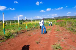 Ndiguini Phase 3 A 50 By100 Plots