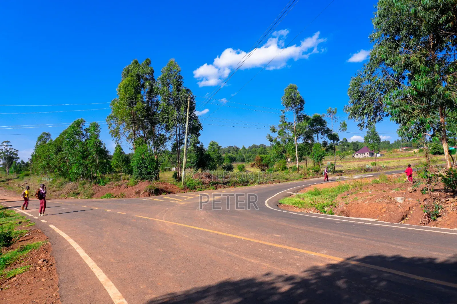 Ndiguini Phase 3 A 50 By100 Plots
