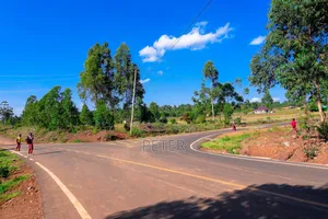 Ndiguini Phase 3 A 50 By100 Plots