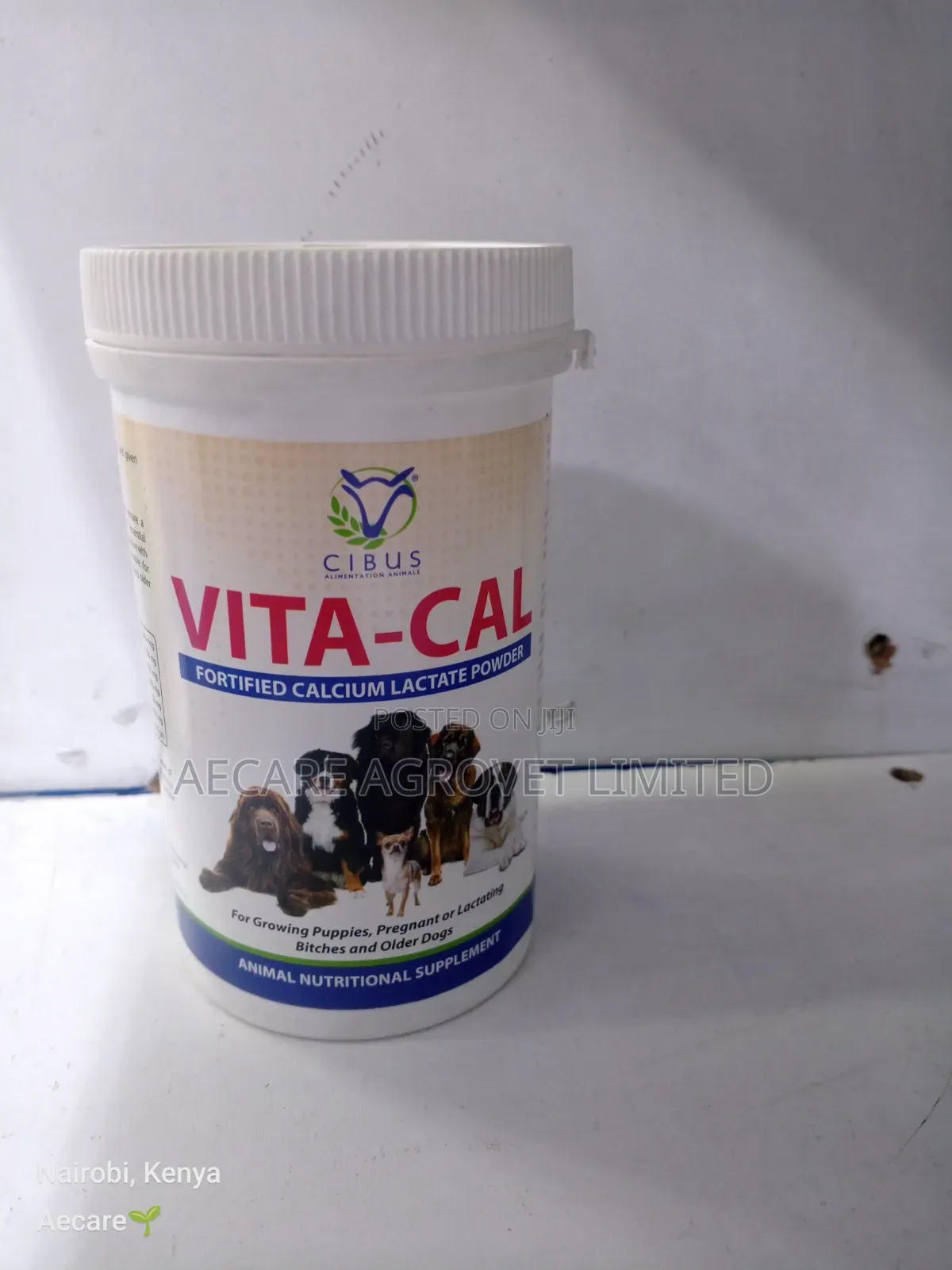 Vita-cal Fortified Calcium Lactate Powder 200gram