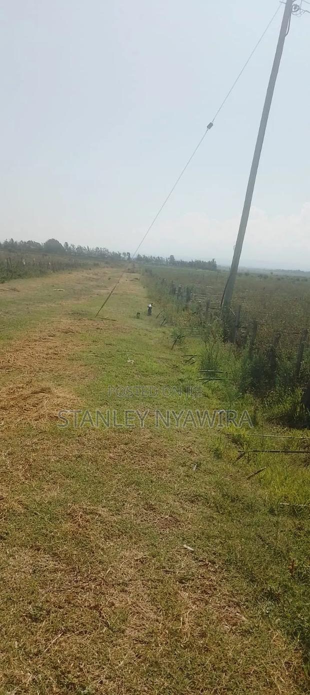 100 Acres Nanyuki Nyeri Narumoro - thumbnail 3