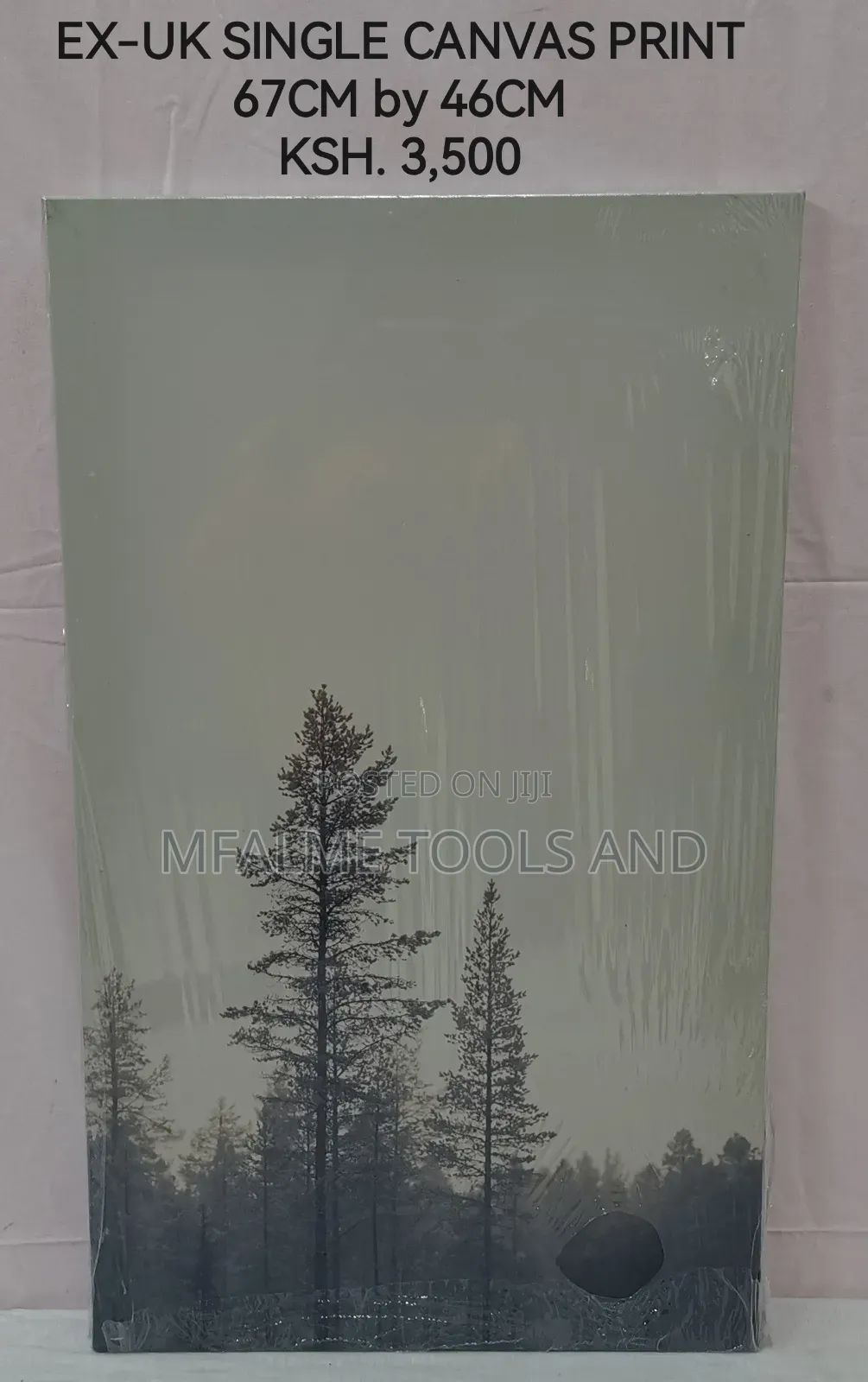 Single Canvas Print
