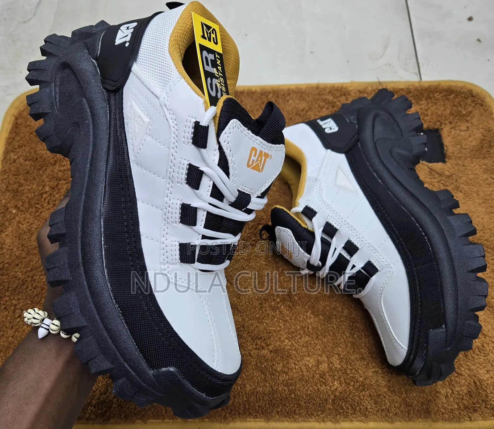 Cat Boots 2 Nd Edition