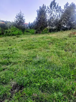Land for Sale (1/8) in Kiserian