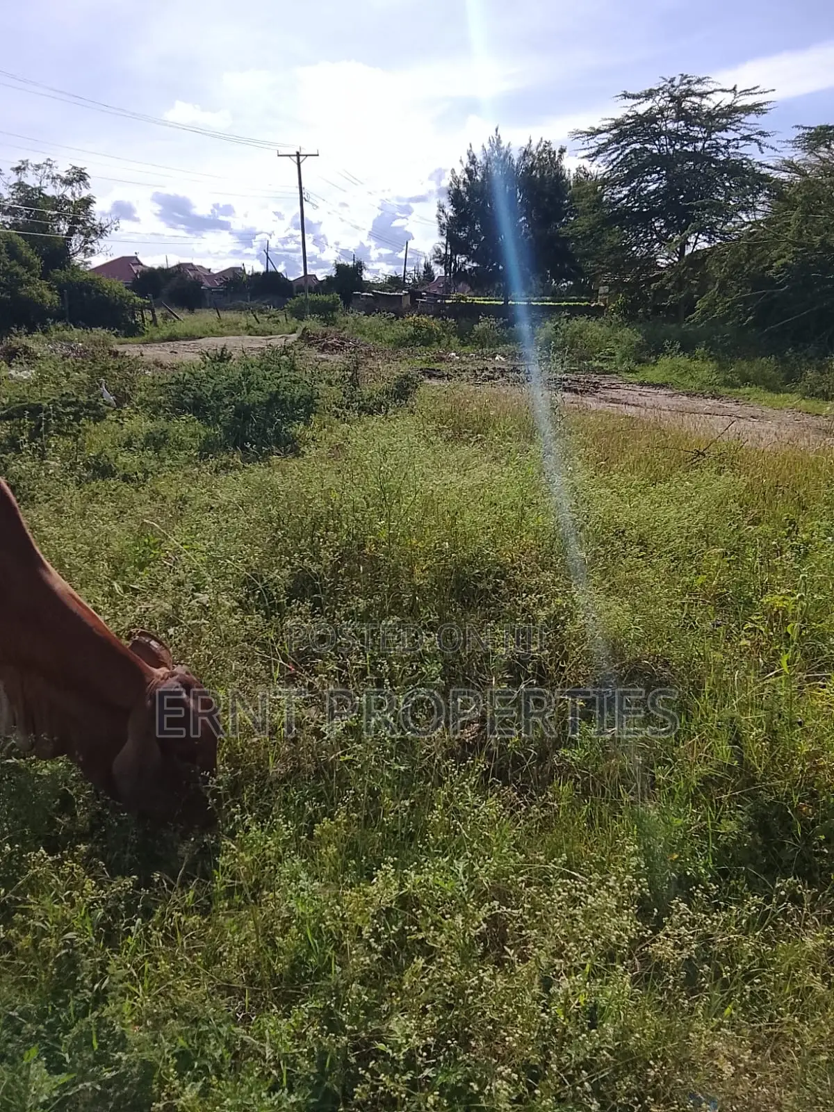 1/8 Acre Plot for Sale in Milimani Creflo, Kitengela