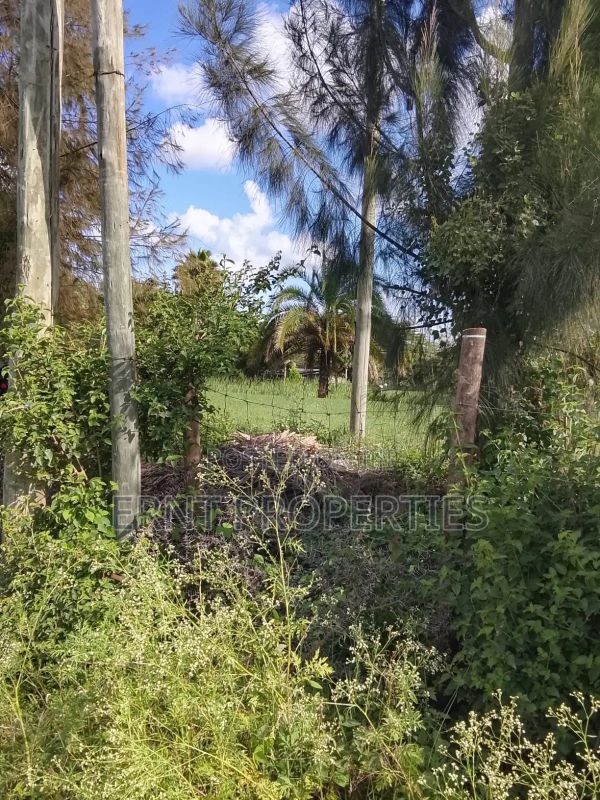 1/8 Acre Plot for Sale in Milimani Creflo, Kitengela