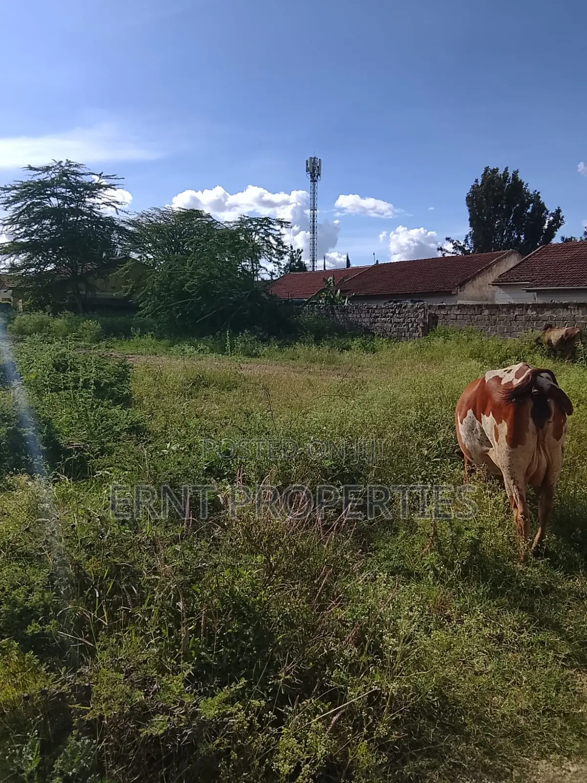 1/8 Acre Plot for Sale in Milimani Creflo, Kitengela