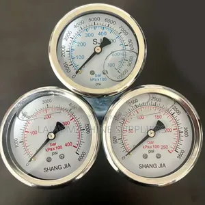 Pressure Washer Gauge
