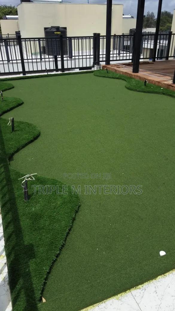 Golf Turf Grass - main view