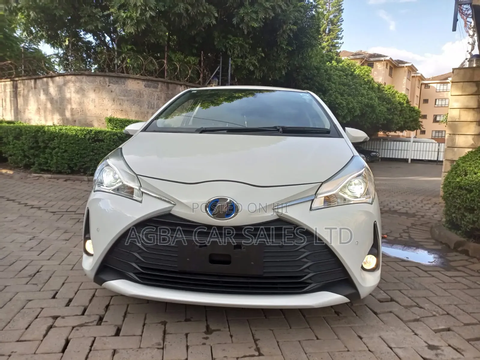 Toyota Vitz 2019 White