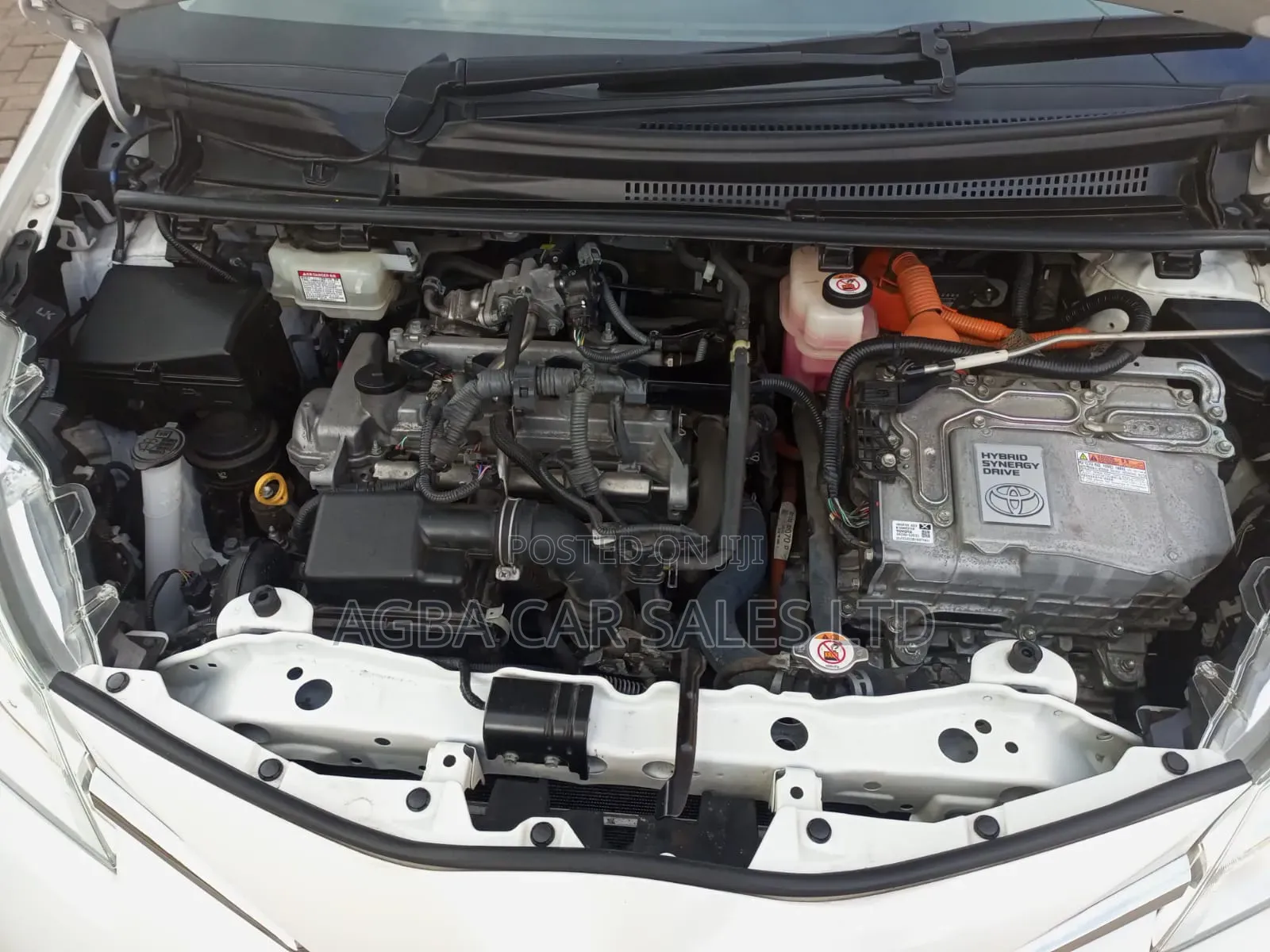 Toyota Vitz 2019 White