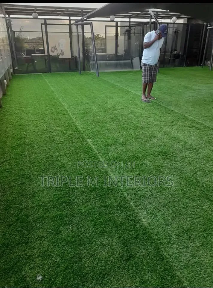 Bring Lasting Beauty to Your Outdoor Space With Turf Grass