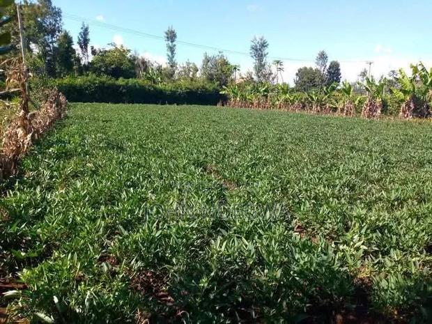 Kirinyaga Prime Land - main view