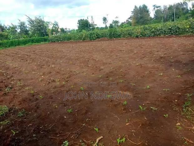 Kirinyaga Prime Land - thumbnail 3