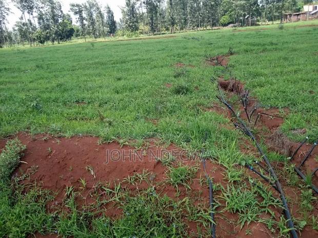 Kirinyaga Prime Land - thumbnail 4