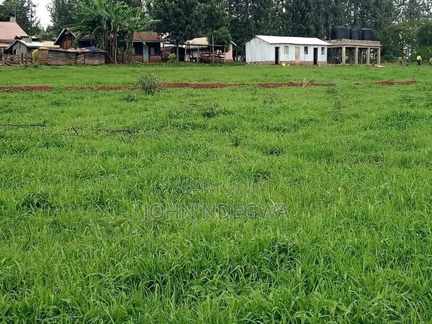 Kirinyaga Prime Land - thumbnail 5