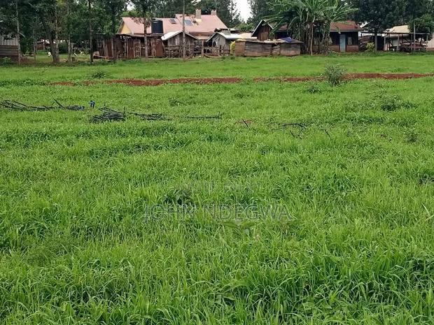 Kirinyaga Prime Land - thumbnail 6