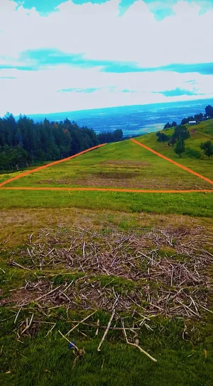 Land Selling