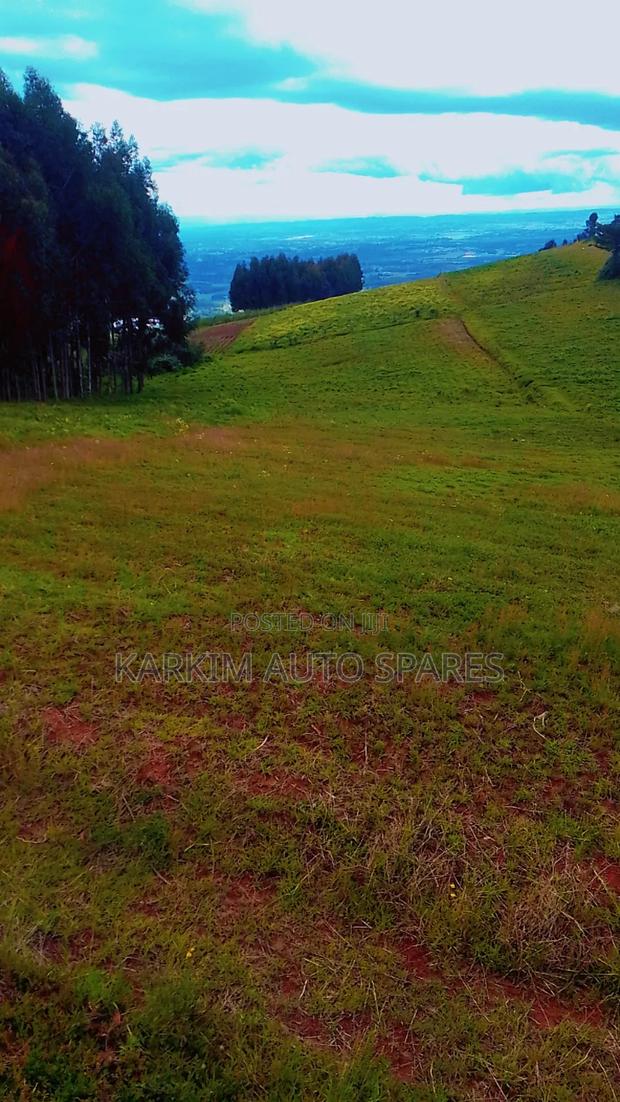 Land Selling - thumbnail 2