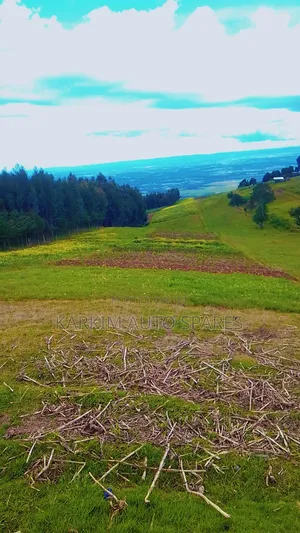Land Selling